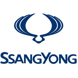 Chip tuning SsangYong